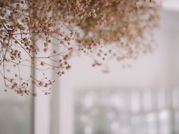 Tørrede Blomster i Interiørdesign: Sådan Tilføjer du Naturlig Skønhed til Dit Hjem